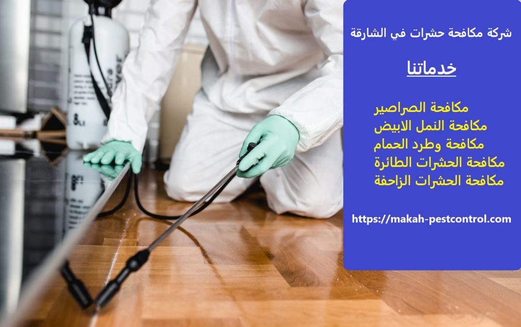 شركة مكافحة حشرات في الشارقة