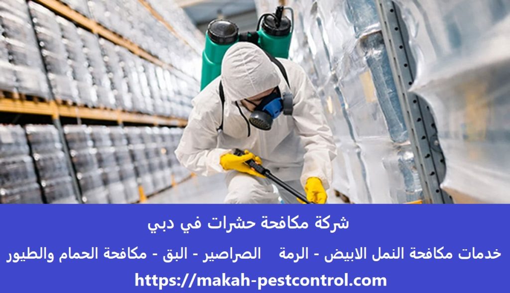 شركة مكافحة حشرات في دبي